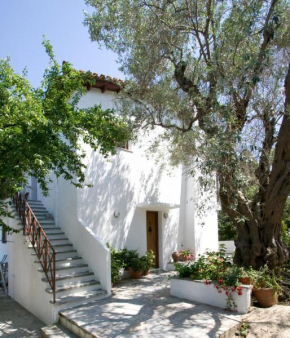 Villas Alexandra Skiathos